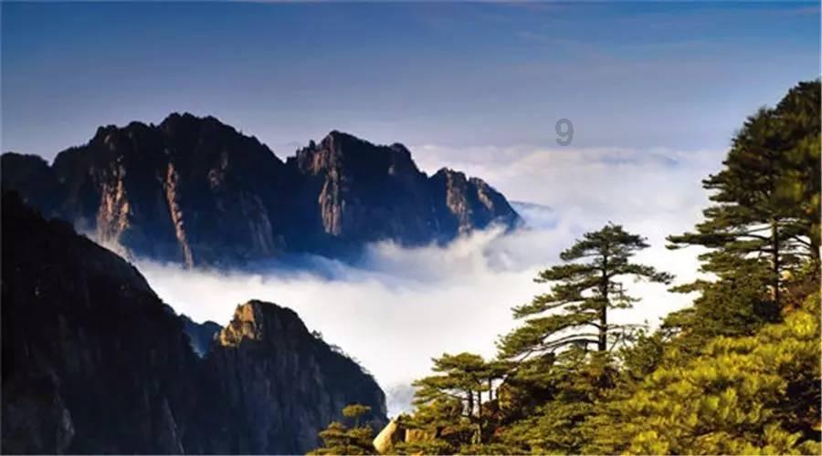透视行业动态,加入我和我女朋友合适么?知识星球,开启知识共享之旅