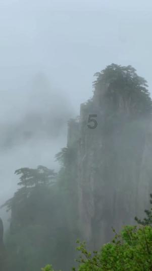 救援受困的鹭