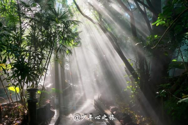 救援小绿龙